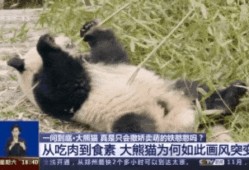 带你吃瓜物种进化,一场跨越时空的趣味探索