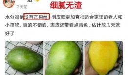 宜吃果少吃瓜,健康饮食的智慧选择指南”