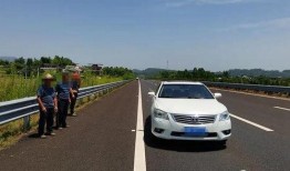 高速上淡定吃瓜