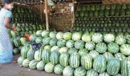 缅甸免费吃瓜入口,一场独特的美食体验之旅