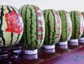 吃巨大硒砂瓜,探寻巨大硒砂瓜的独特魅力