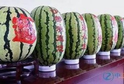 吃巨大硒砂瓜,探寻巨大硒砂瓜的独特魅力