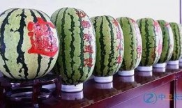 吃巨大硒砂瓜,探寻巨大硒砂瓜的独特魅力