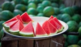 吃瓜1233,网络热词背后的故事与影响