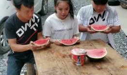 爆笑吃瓜西瓜视频