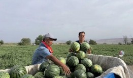 徐州街头吃瓜趣闻,吃瓜趣闻，一网打尽