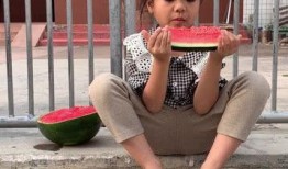 爆笑吃瓜西瓜视频