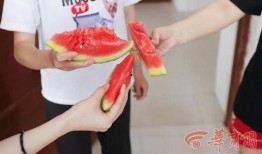 廊坊学校老师吃瓜,揭秘校园背后的“瓜田”