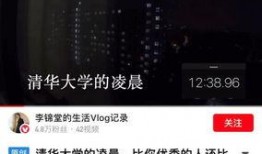 吃瓜跳舞vlog视频,趣味横生的美食与舞蹈之旅