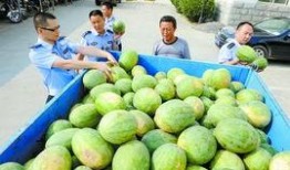 吃瓜QQ群内黄,黄生背后的故事与真相