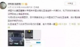 吃瓜群众没钱过年,年味里的无奈与期待