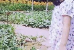 亲近自然吃瓜视频,畅享夏日吃瓜时光