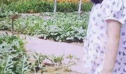 亲近自然吃瓜视频,畅享夏日吃瓜时光