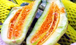 吃瓜云云,吃瓜云云背后的真相与内幕