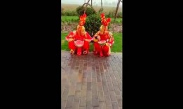 舞蹈猴子吃瓜视频,舞蹈猴子吃瓜视频萌翻网友