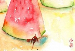 西瓜视频小暑吃瓜,夏日消暑必备美食攻略