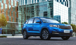 斯柯达吃瓜群众,揭秘汽车圈的热议焦点