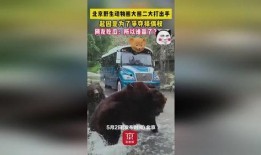 熊二吃瓜不信瓜,揭秘网络谣言背后的真相