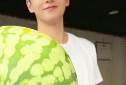 杨洋吃瓜搞笑,娱乐圈新梗横生