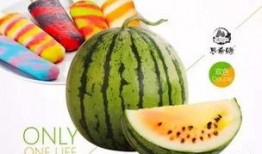 掌柜吃瓜的视频