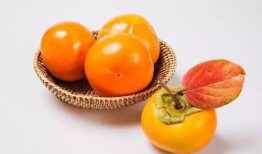 中铁十七局吃瓜