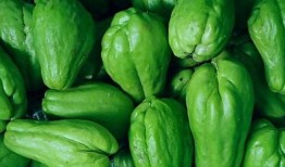 吃佛手瓜会胖吗,吃佛手瓜真的会发胖吗？