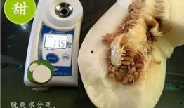 17度吃瓜视频