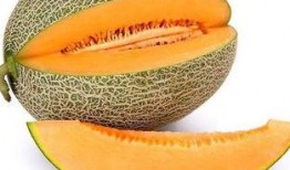 孕妇吃哈密瓜会过敏吗,孕妇食用哈密瓜过敏风险探讨