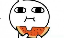 理性吃瓜意思,揭秘网络舆论背后的真相