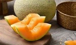 肺热吃哈密瓜