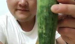 瓜哥吃瓜奇怪的鱼视频