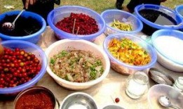 西双版纳边境吃瓜,瓜果飘香，尽享热带风情美食之旅