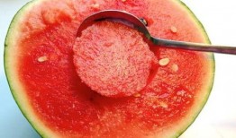 喜子瓜能给人吃吗,美味还是禁忌？探究其食用安全与口感之谜