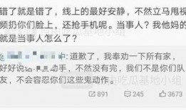 吃瓜看打架笔录,揭秘打架现场幕后真相