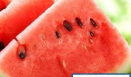 能别吃我瓜,一场关于网络热词的趣味探讨