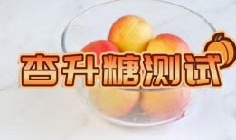 减肥可以吃杏瓜吗,健康美味两不误