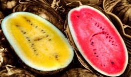 吃瓜为生,揭秘网络时代下的“吃瓜”现象