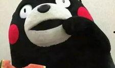 吃瓜舅,网络红人的崛起与争议