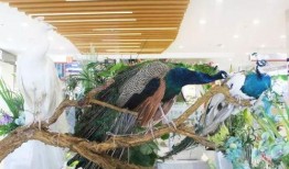 商场吃瓜,揭秘日常生活中的趣味瞬间