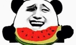 金悦吃瓜群众,揭秘娱乐圈幕后风云