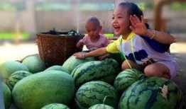 地里摘瓜的感觉吃瓜