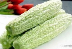 厦门吃瓜博主