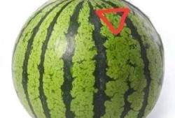 悦容吃瓜,揭秘娱乐圈幕后故事