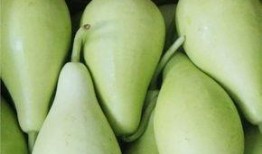 糖尿病人吃葫芦瓜好吗,糖尿病患者的理想蔬菜选择