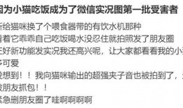 网上用语吃瓜者