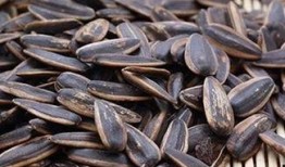 吃瓜吃的是瓜子,揭秘“吃瓜群众”的瓜子情缘