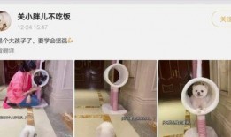 吃瓜网友动态图