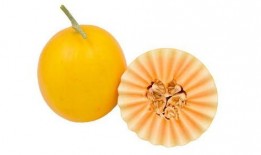 小孩吃民勤蜜瓜,民勤蜜瓜的甜蜜之旅