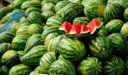 内蒙网红dy吃瓜,揭秘草原上的网络风云