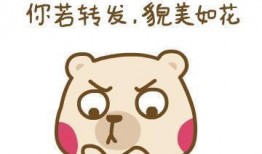 吃瓜朋友扩列,揭秘娱乐圈背后的故事与人物